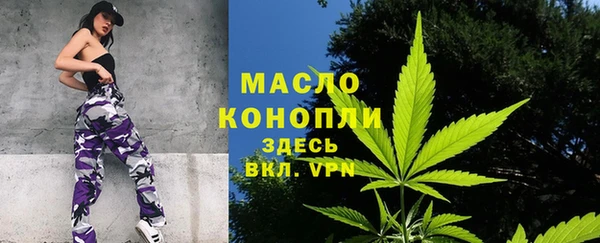 дмт Мегион